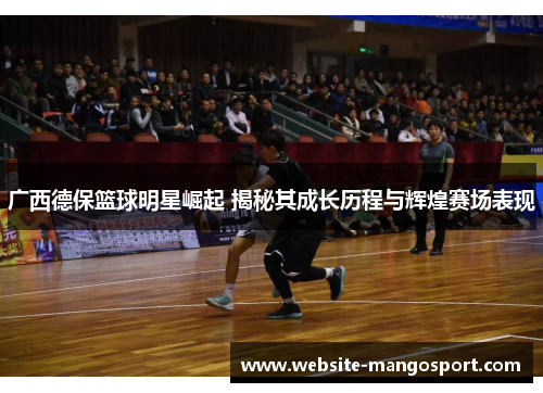 广西德保篮球明星崛起 揭秘其成长历程与辉煌赛场表现