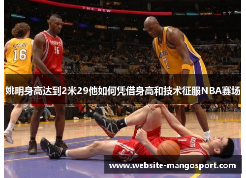 姚明身高达到2米29他如何凭借身高和技术征服NBA赛场