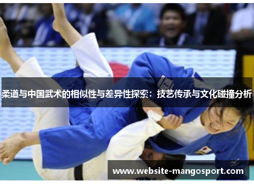 柔道与中国武术的相似性与差异性探索:技艺传承与文化碰撞分析